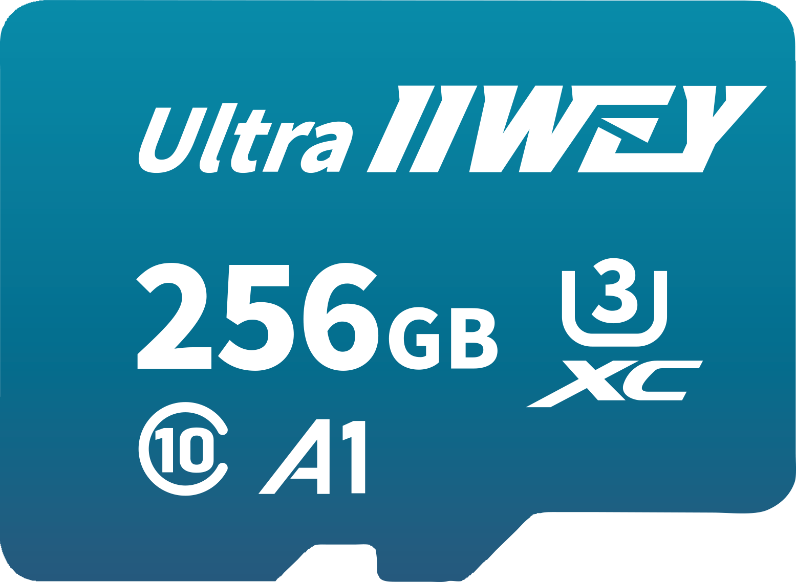IIWEY SD Card for IIWEY Dash Cam & IIWEY Wireless Carplay Screen